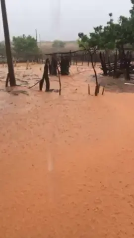 Chuva no sertão Nordestino 