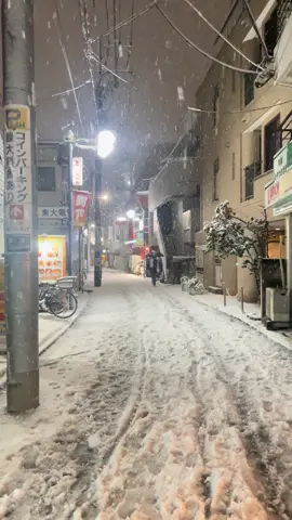 Walking back hom on a snow day. #tokyo #snow #fyp 