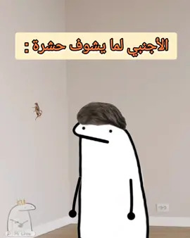 لما نشوف حشرة في البيت 😂😂😂  #منشن_البيست_فريند #منشن_شخص_تبي_يشوف_المقطع #الشعب_الصيني_ماله_حل😂😂 #متابعة #مشاركة #اكسبلورر 
