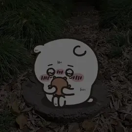 #chiikawa #japanplush #melbourne #iloveyou  Good night.