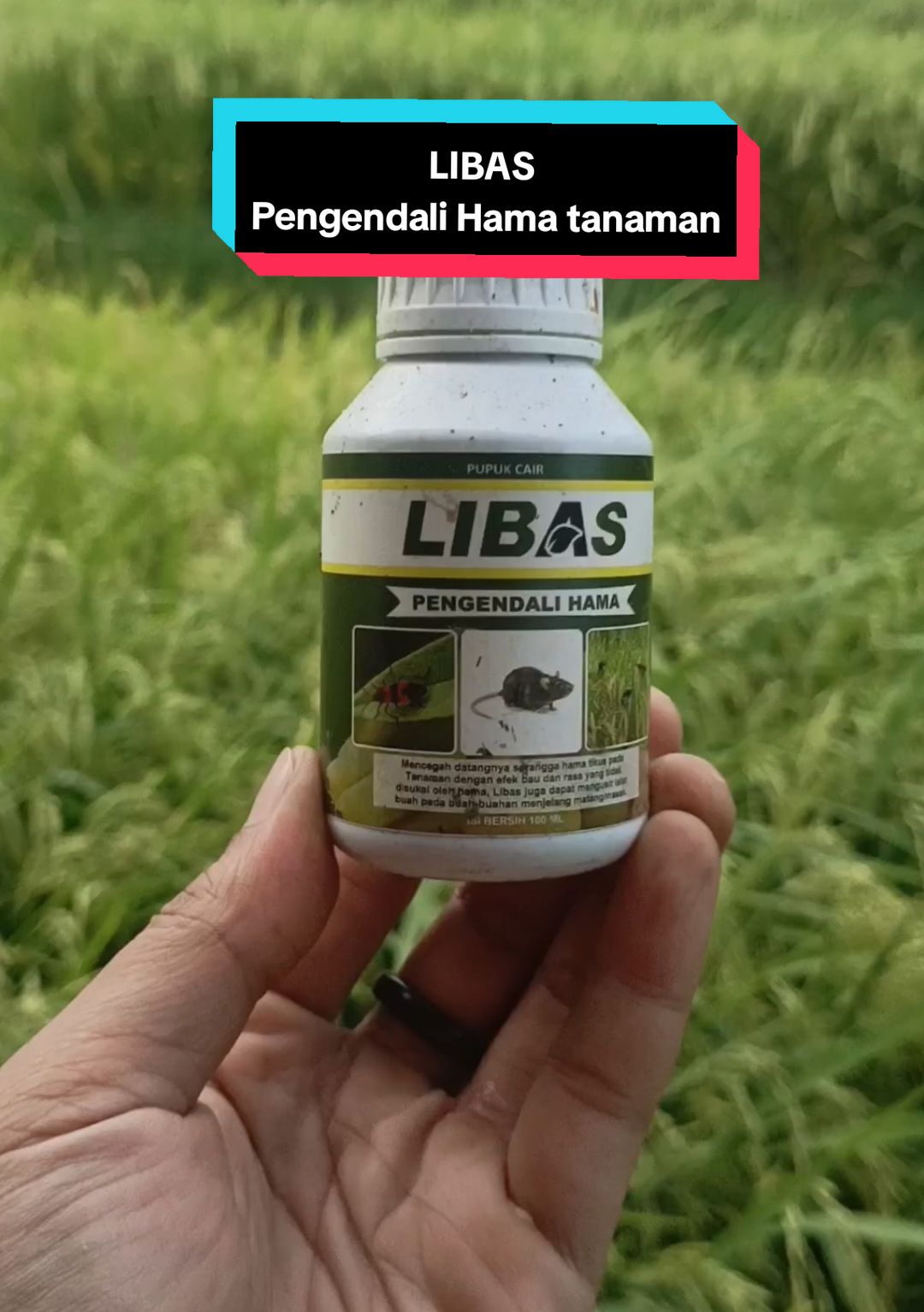LIBAS Pengendali Hama Tanamana #produkpertanian #pupukorganikcair #pupuk #pupuktanaman #produkviral 