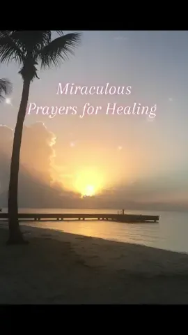 Run to the Lord & Pray with a mighty faith!💗I believe the Lords power can perform miracles beyond what we can even comprehend. Amen #prayers #healing #faith #MomsofTikTok #pray #warriorofgod #prayerwarriors 
