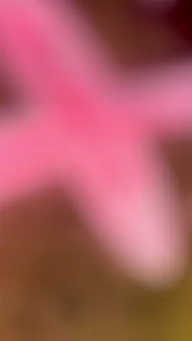 You will never walk alone #glow #draw #board #Love #foryoudays #spotlight #fyp 