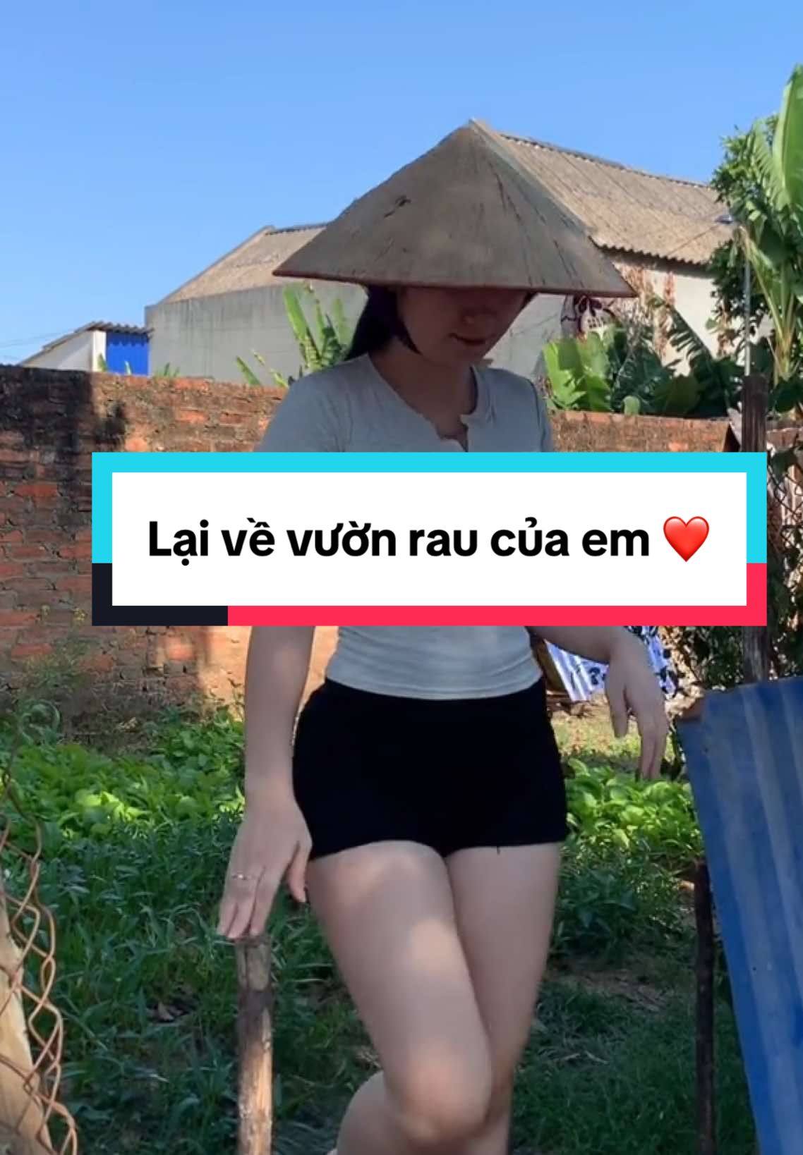 Dù đi chơi ở đâu thì em vẫn về với vườn rau và cái cọc nhà em đây các bác ơi 🥰 nhẹ nhàng bình yên ❤️ #xuhuong #quêhươngtôi #vườn #rau #bìnhyen #ravuonhairau #hairau #hàthíchkểtruyện 