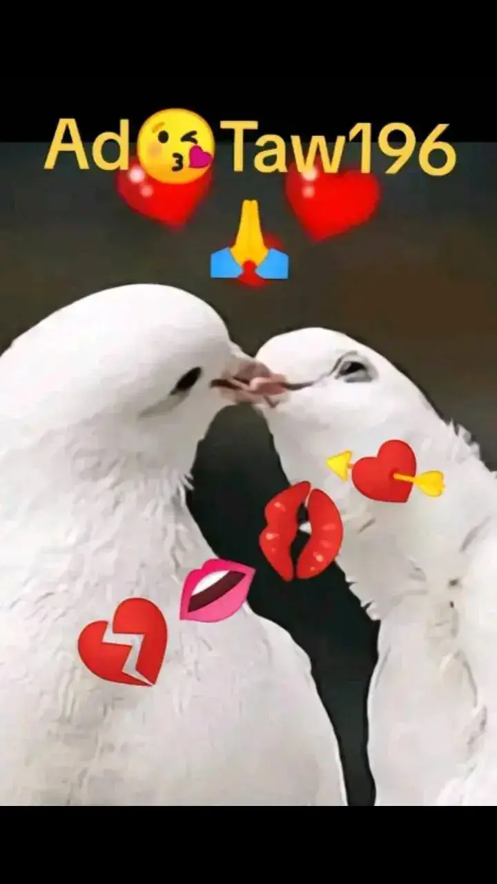 #foryou #viralvideo #foryou #viralvideo #foryou #viralvideo #viralvideo #viralvideo 