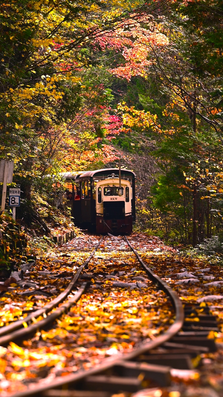 落ち葉舞う山奥の鉄道 📍Agematsu-machi, Nagano, Japan | #赤沢森林鉄道 🚃Agematsu Station→Bus 30min 🎥5 Nov 2024 一度見てみたかった景色😊 鉄道や周辺の紅葉がとても綺麗でした！ 空気もすごく澄んでます。 森林鉄道は4月〜11月。今年は11月7日で終了。 来年も絶対に行きたい素敵な場所でした！！ ⭐️Save this for your future trip to Japan! #akasawashinrintetsudo #agematsu #nagano #visitjapan #japantrip #japantravel #traveltiktok #長野観光 #長野旅行 #絶景 #fyp #ญี่ปุ่น #การเดินทาง #일본 #여행 #NhậtBản #chuyếnđi #Jepang #Perjalanan #japon #voyage #giappone #viaggio #日本旅遊 #日本旅游