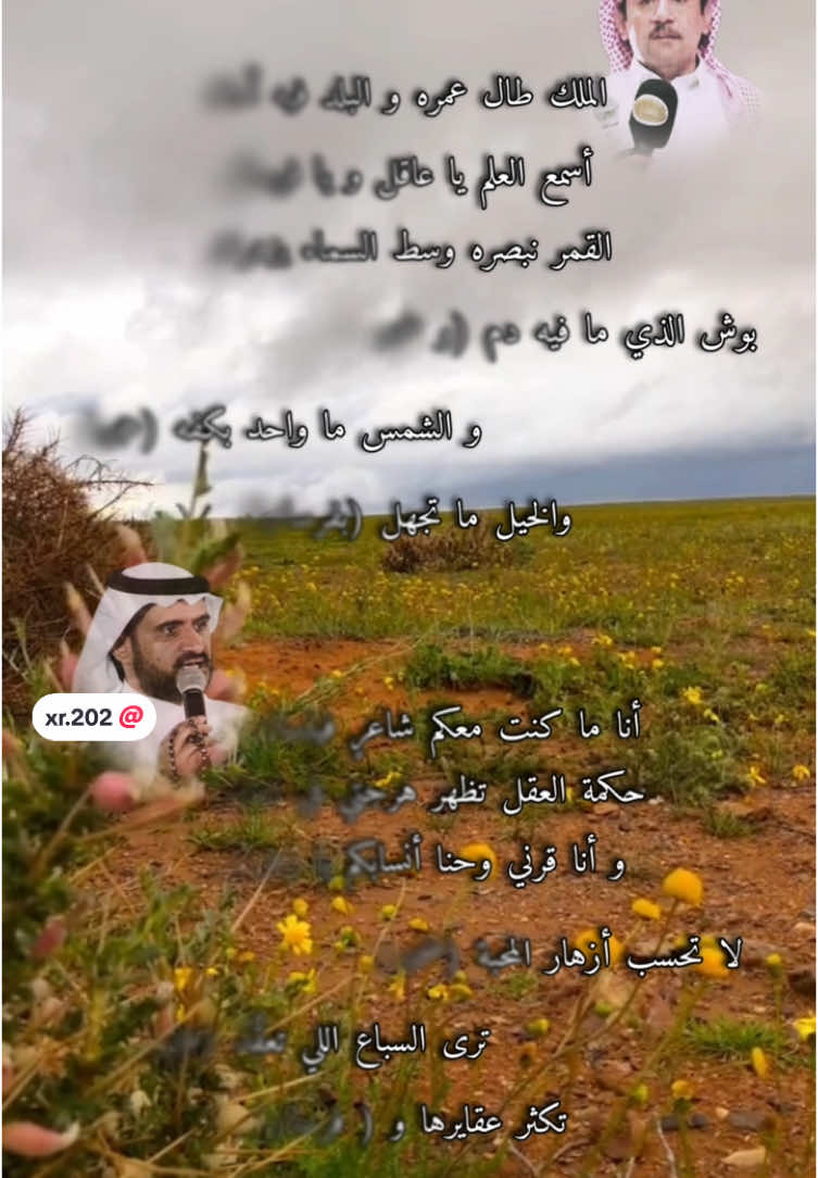 #عرضة_جنوبية#محاوره#explore#foryou @ابو سلطان 