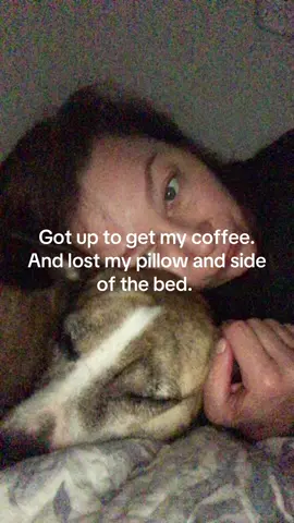 #goodmornin for #goodog s 