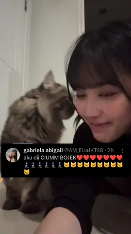 Mengg gantian yaa nanti kubeliin wiskas😼 #ella #jkt48ella #ellajkt48 #jkt48 #jkt48newera #fyp #foryou 