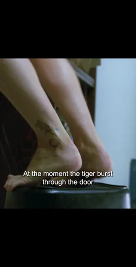 The girl ducked into the pipe the moment the tiger burst through the door.#tiktok#tiktoker #tiktokviral#tik_tok #foryoupag #typ #fyp #movie #lxmovie #seeksurvival#lives#movieclips #life#oldmovies #thriller#tiger #escape#wild  #us #usa #usatiktok #usa_tiktok