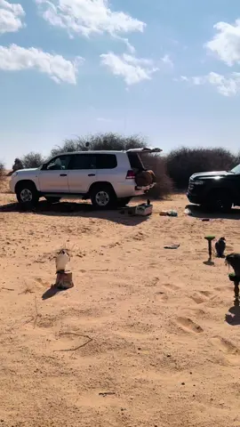 #مكناص #العراق🇮🇶 #نجف #مشاهبر_العراق_مشاهير_العالم_مشاهير_ #سماوه_بغداد_بصره_عماره_ديوانيه #حله_سماوه_النجف_ناصرية_كربلا #سعوديه🇸🇦 #قطر🇶🇦 #كويت🇰🇼 #🇸🇦يمن🇾🇪بحرينمغرب🇲🇦سوريا🇸🇾 #لغزالات #بني #صخر #