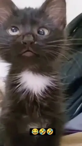 A mi ni me apuntes 😂😂😂