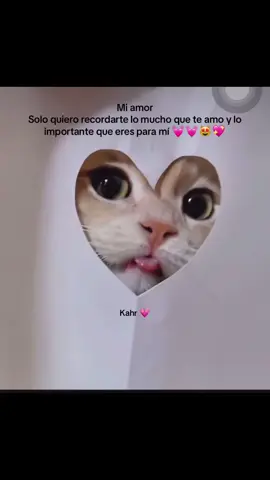 Mi amor solo para recordarte 💞 #miniño #universos #amor  #amoraprimeravista #videosdeamor #mihermoso #gatitos #videosdegatitos #mivida #frasesdeamor #miamor #miamorcito #fyp #fypp #gatito #teextraño #paraminovio #amorsano 