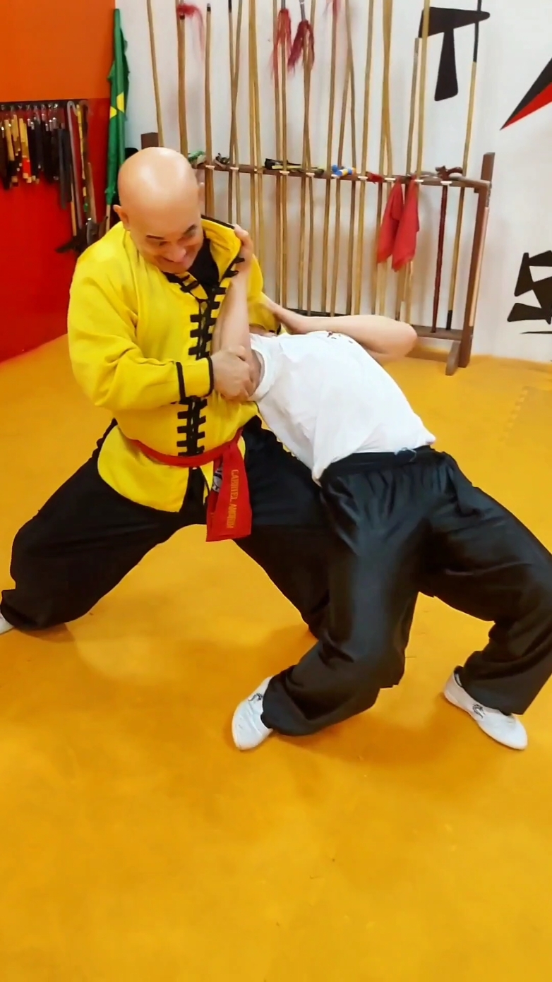 #tskf #kungfu #wushu #artemarcial #artesmarciais #defesapessoal #shaolin #chikung
