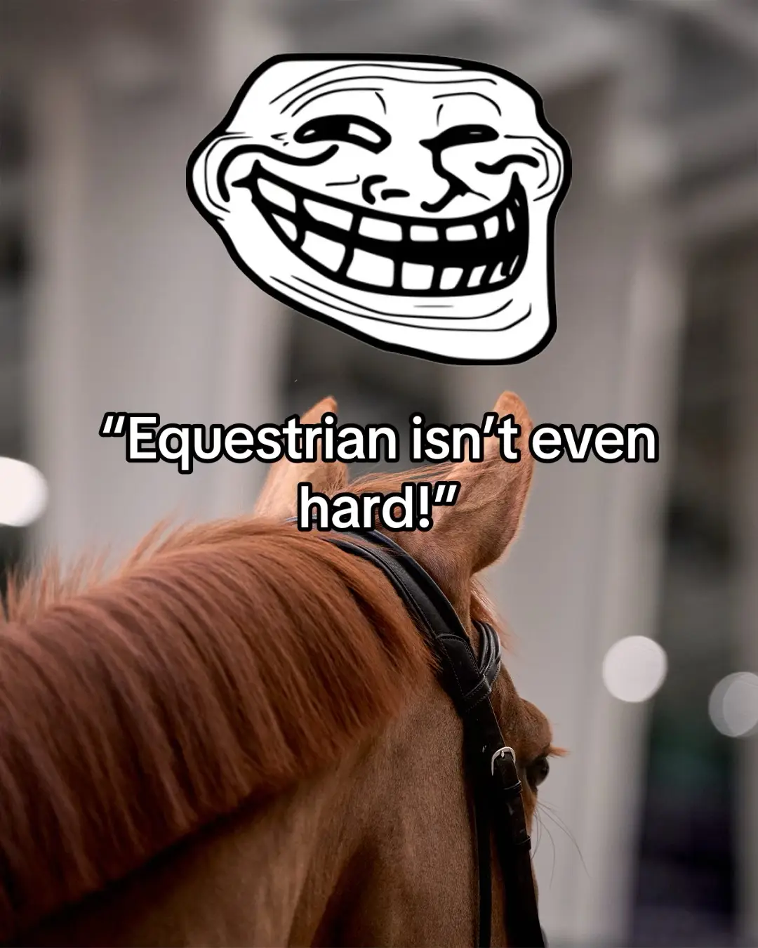 You gotta love #equestrian! 🐴💜 #FEI #horsesoftiktok #equestrianlife 