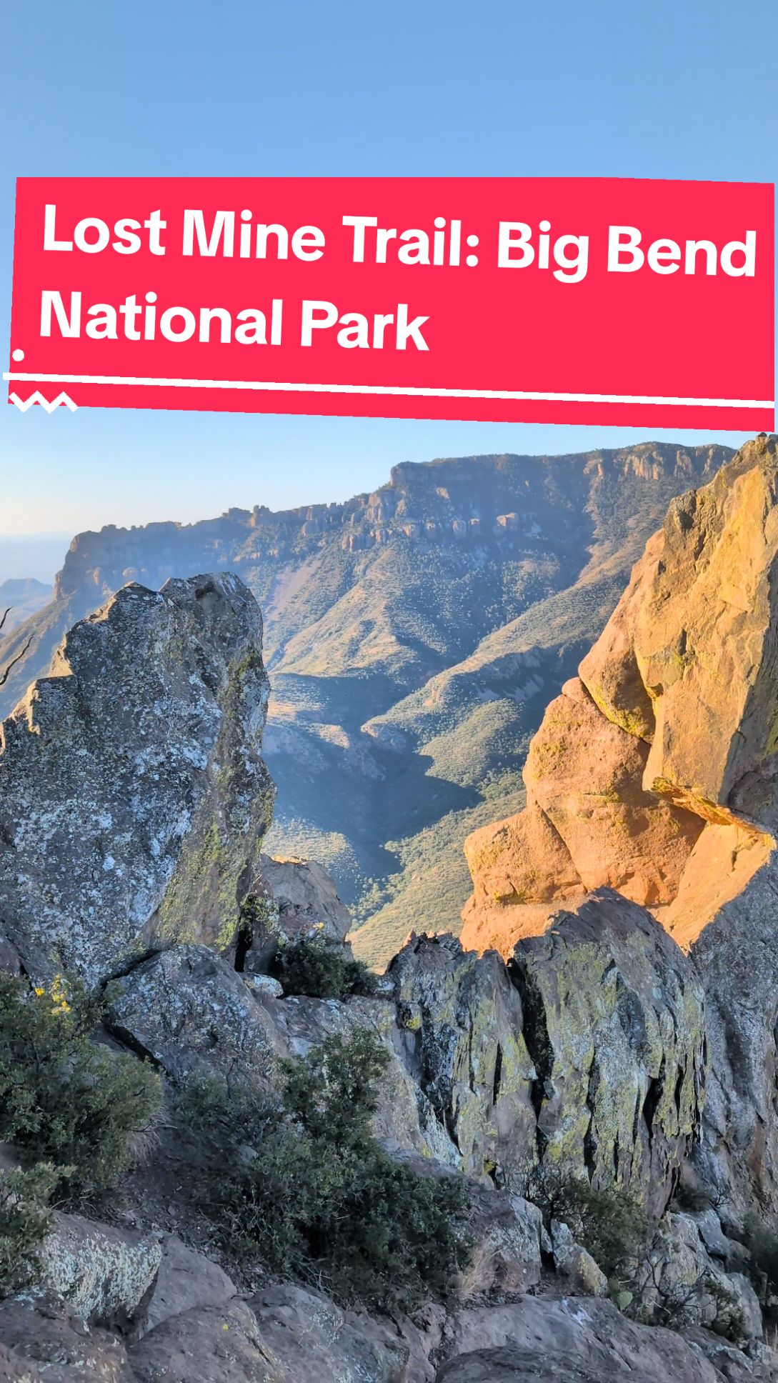 Bad news is, the legendary mine is now lost to time. good news is, the lost mine trail is pretty easy to follow so you won't be getting lost #lostmine #bigbend #travel #adventures #hikes #nationalparks #nps #roadtrips #texas #tx #marfa 