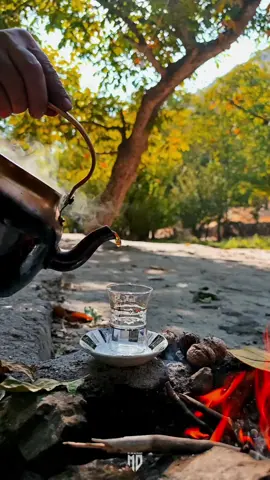 دەستەکانت ماچ ئەکەم باوکە گیان... زۆربەی ڤیدیۆکانم باوکم یارمەتیدەرمە ...بۆ نمونە  پێم دەڵێت بەو شێوازە جوانە .. خۆی چایەکە تێ ئەکات لەبەر ئەوەی من مەجالی ڤیدیۆ تۆمار کردنم هەبێت ..قوربانت باوکــە گیان🌹🤍