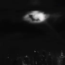 Bat Signal || #thepenguin #thepenguinep8 #edit #edits #zyxbca #foryoupage #batman #dc #thebatman #batmanedit #thepenguinedit #viral 