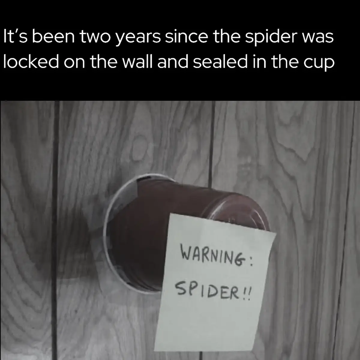 [#CLOWNPIERCE] #seraphimhierarchy #parkourcivilization #parkourcivilizationminecraft #parkour #civilazation #clown #clownpierce #clownperice #clownpierceedit #clownpiercer #evbo #evbominecraft #evboedit #Minecraft #seawatt #seawattgaming #minecraftedit #minecraftedits #genshin #minecraftlore #minecraftloresmp #viral #fypppppppppppppp #fyp #trend #viralvideo #fyppp #minecraftloreserver #minecraftmovie #lifesteal #lifestealsmp #lifestealsmpedit #kaboodlesmp #kaboodlesmpedit #contentsmp #contentsmpedit #whitepine #whitepinedit #slideshows #lore #genshinimpact33 #genshinimpact34 #genshinimpact32 #slideshow #genshinteleport #genshininpactedit #quotes #arcane #arcaneseason2 #lifestealer 