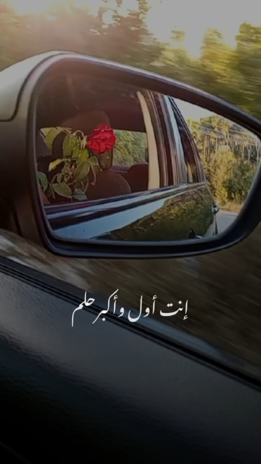 #العشق_كله #منشن #❤️  #مصطفى_الربيعي #ستوريات_حب #لايك_متابعه_اكسبلور #اكسبلور #tiktok #viral #lavendr81 