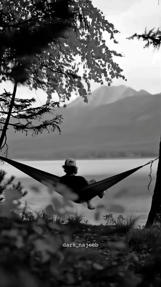 𝗙𝗲𝗲𝗹 𝘁𝗵𝗶𝘀 𝘀𝗼𝗻𝗴 🥀🥺💔 #fyp #fypシ #foryou #status #support #aesthetic #viral #trending #dark_najeeb #unfrezzmyaccount 