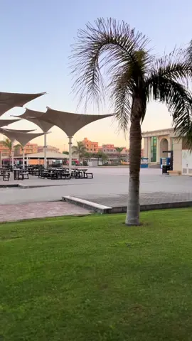 #msauniversity #physicaltherapy #physiotherapy #pt 