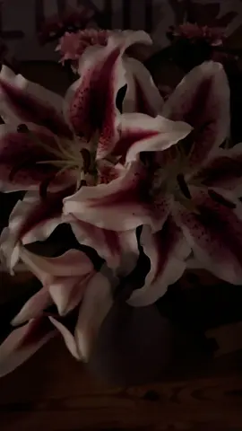 #lilies #flowers #flowerarrangement #fypシ゚ #foru #pretty #foru #aesthetic #nature #seethisvideo #fy #liliesflowers 