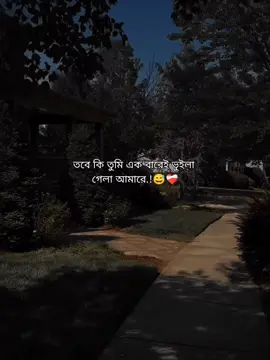 তবে কি তুমি এক বারেই ভুইলা  গেলা আমারে.!😅❤️‍🩹 #foryou #foryoupage #fypviralシ #_its__hridoy_ #stetus #unfrezzmyaccount #bdtiktokofficial @TikTok Bangladesh 