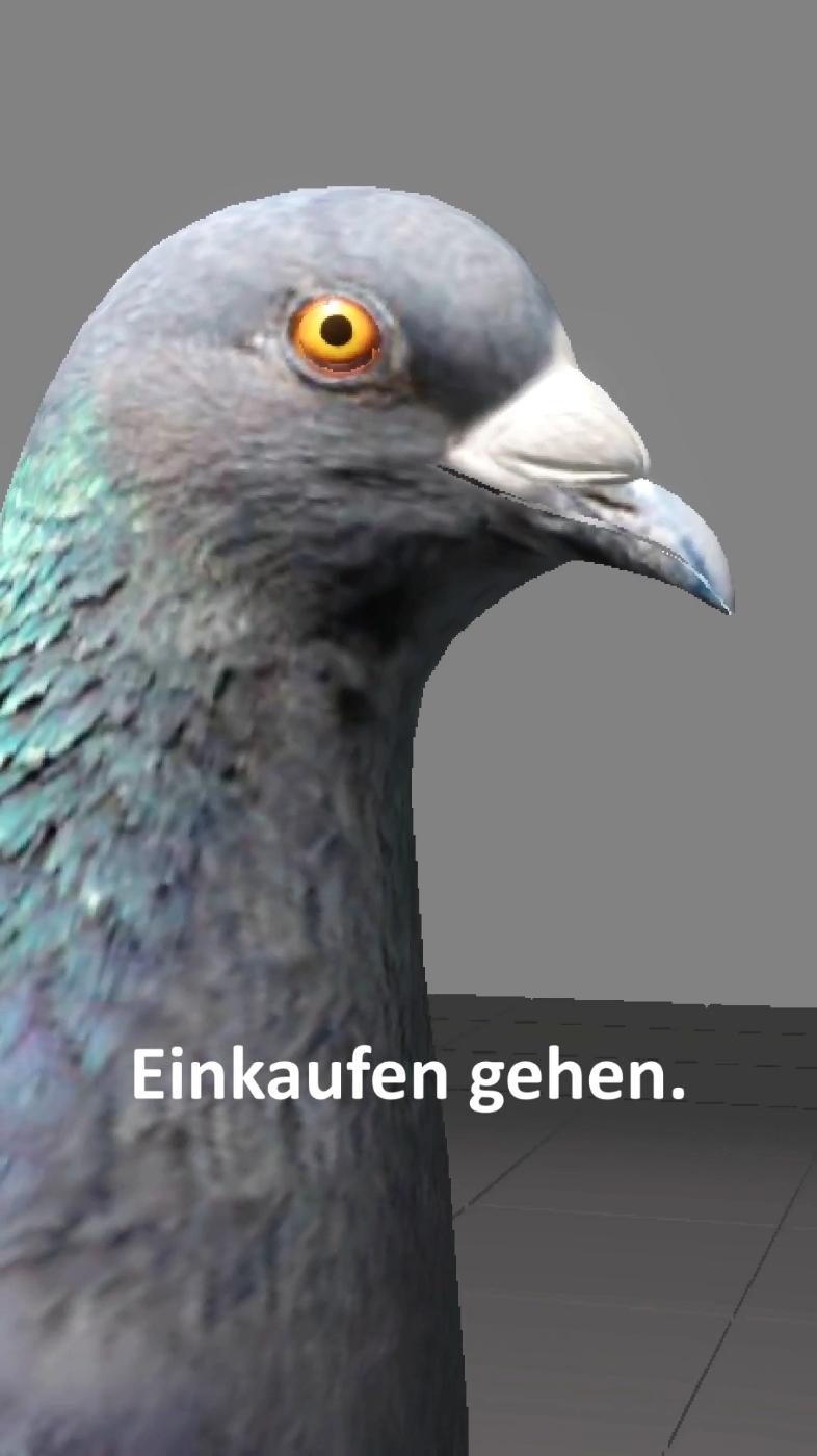 Taube im Aldi #fyp #deutschememes #taube #aldi #einkaufen 
