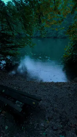 🩶#nature #calm #darkaesthetic #naturephotography #foryou #aesthetic #relax 