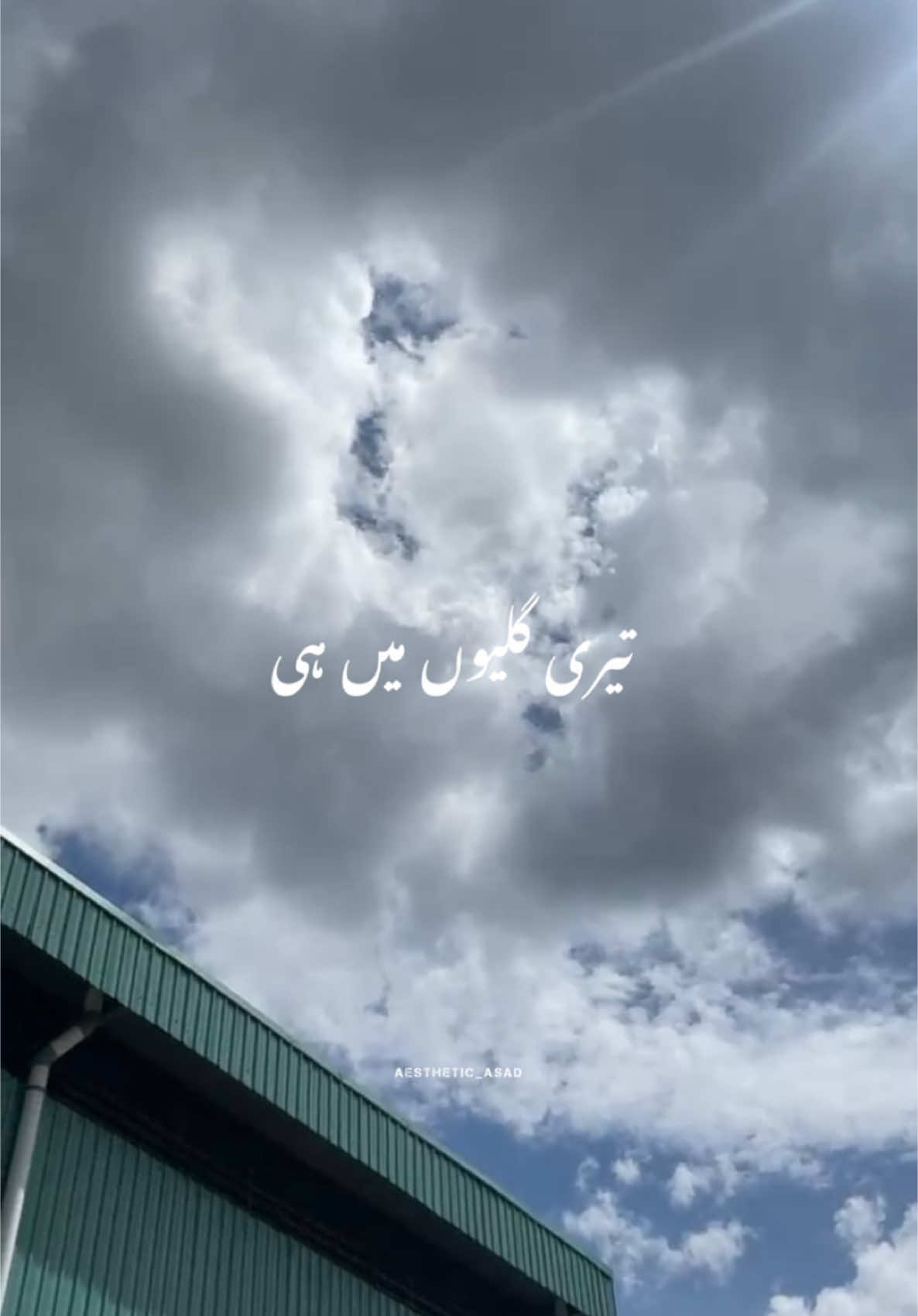 JAANA SAMJHO NA DIL KEHTA HAI………………..!✨🥀🖤#foryou #foryoupage #aesthetic_asad #trending #songs #aestheticvibes #support 