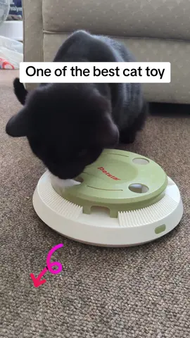 #petstar #cattoy #foryourpage #foryou #adorablecat #blackcat #ghosttabbycat #cutecat #murkoblacktabby #needtohave #musthave #bestcattoy #interactivecattoy 
