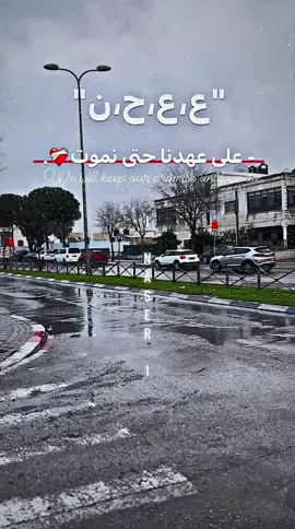 ع ع ح ن وعلى عهدنا نموت❤️‍🩹.#fyp #foryou #viral #القدس #بيت_حنينا #يطاوي #بطلع؟ #سنابي_بالبايو🤍 #تصميم_فيديوهات🎶🎤🎬 #عباراتكم_الفخمه📿📌 #فوريوبيج #فوريو #♥️♥️♥️♥️♥️ #🤍🤍🤍 #foryoupage #naserarbad 