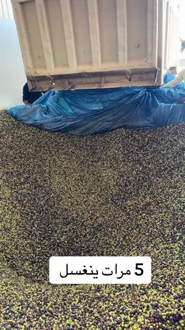 #زيت_زيتون #زيتون #علاج #قولون #fypシ #جرثومة_المعدة #تساقط_الشعر #سكر #اكسبلور #صحي #صدفية #قولون_عصبي #ابومران #الرهاب_الإجتماعي #المعده 