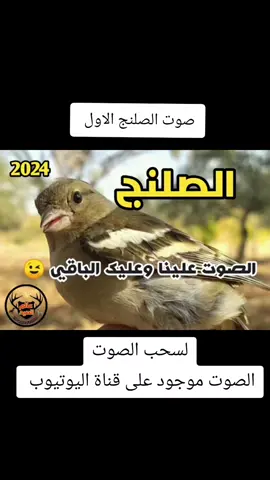 صوت الصلنج#عالم_الصيد #سمن #صلنج #اقوى_الأصوات 