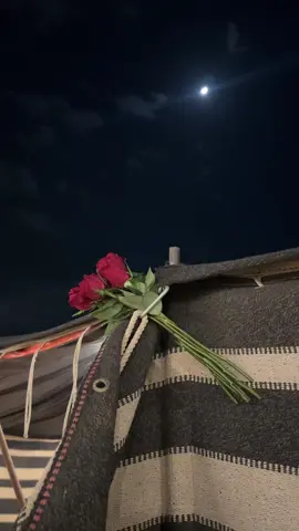 #تصويري📷 #اكسبلور #fyp #ورد #قمر #مخيم 