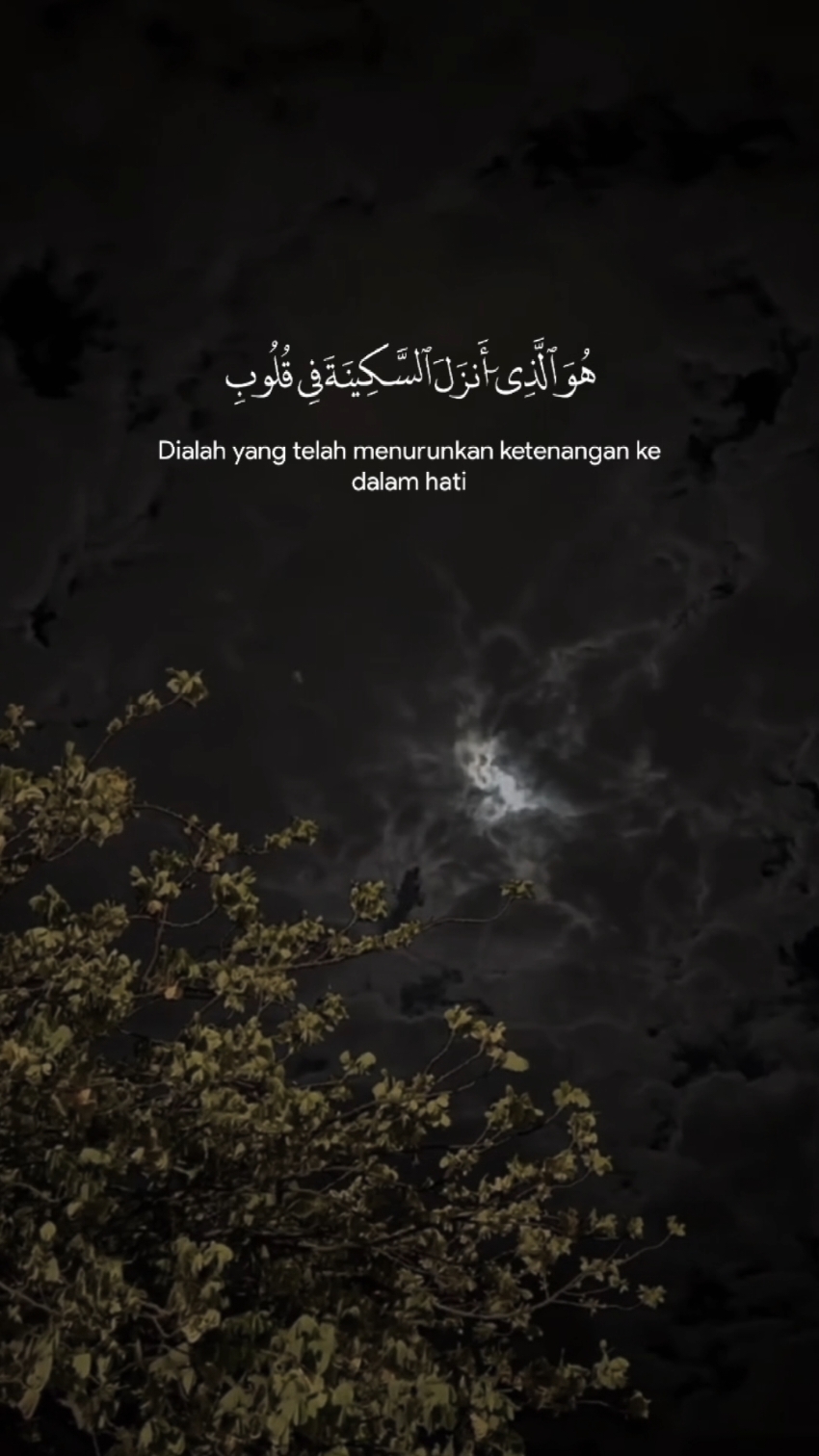 سورة الفتح الآيه | 4 | للقارئ #عبدالرحمن_مسعد #هو_الذي_انزل_السكينة_في_قلوب_المؤمنين #قرآن_بصوت_جميل #quran #CapCut #قرآن_كريم #قران #fypsounds #قرآن_كريم_راحة_نفسية🌷🌻 #لا_اله_الا_الله 