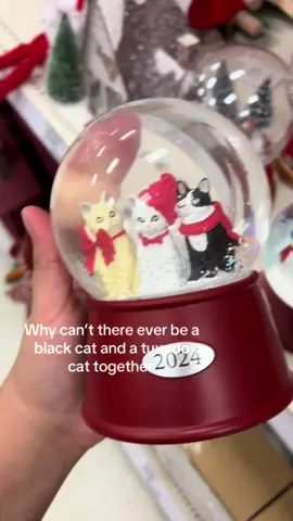 Black cats never appear in anything 😭