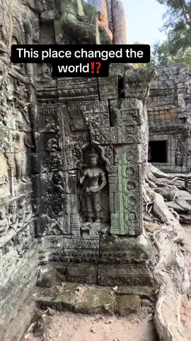 Do you understand ⁉️