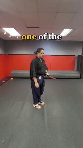 interesting drill to try with katana! #martialarts #fencing #kenjutsu #iaido #combatsports  #dnd #katana