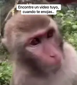 Encontre un video tuyo, cuando te enojas..