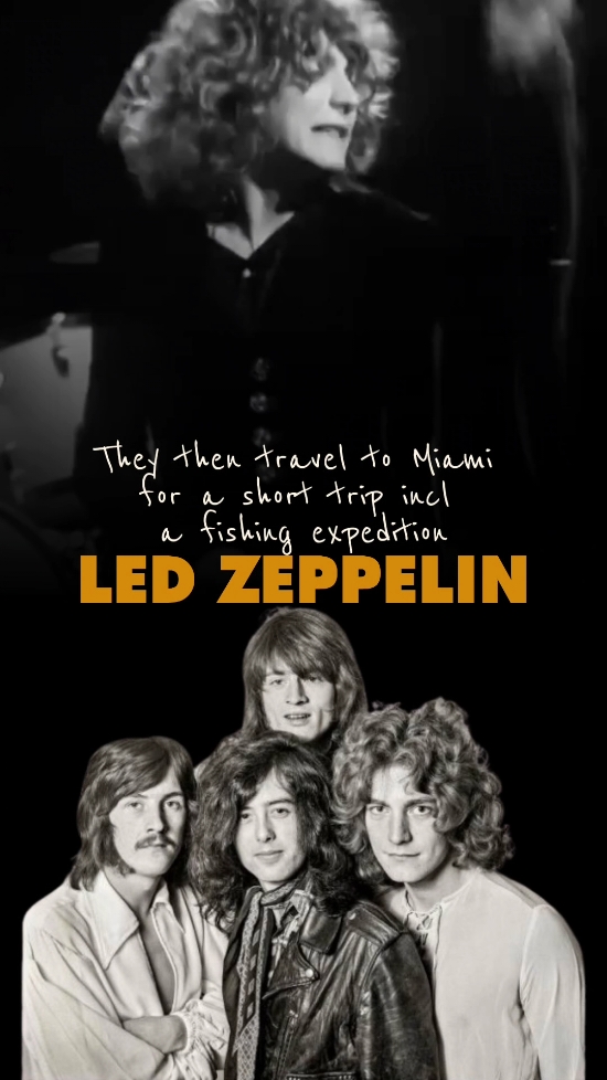 Replying to @mama.rocks.13  ✨️L E D   Z E P P E L I N✨️ 56yrs ago  On This Day In Music  Nov 11 1968 Led Zeppelin Signs w/ Atlantic Nov 11 1968 Jimmy Page travels  to New York with  Peter Grant armed with master tapes  of the group's first album Ahmet Ertegun attorney  Steve Weiss meet with  Page and Grant at Atlantic's  office NY  Jeff Beck  is also in attendance on his North American tour They then travel to Miami  for a short trip incl a fishing expedition A reported $200,000  advance is soon announced a monumental sum at the time ✨️Press Release✨️ November 23 1968 Atlantic Records has signed the hot new English group, Led Zeppelin to a long term, exclusive recording contract. Although the exact terms of the deal are secret it can be disclosed that it is one of the most substantial deals Atlantic has ever made. Agreement for the group’s services was made between  Jerry Wexler, Executive  VP of Atlantic Records Peter Grant manager of the group Led Zeppelin consists of four of the most exciting musicians performing in Britain today incl; Jimmy Page leader of the group  and lead guitarist John Paul Jones bassist, pianist  organist arranger John Bonham drums Robert Plant lead vocal harmonica. Page former member of  the Yardbirds the group that spawned the careers of two other great musicians, Eric Clapton  and Jeff Beck. Page joined the Yardbirds in 1966 and stayed with the group until it disbanded in the summer of 1968. Prior to joining the Yardbirds he was one of the  busiest session men in London Jones is considered one of England’s finest arrangers  as well as an outstanding  bass player He is the arranger of  Donovan’s “Mellow Yellow” “Sunshine Superman”  and “Hurdy Gurdy Man”  and of the Rolling Stones’  “She’s a Rainbow” Jones also played bass on Dusty Springfield  fourth studio album Dusty... Definitely 22 Nov 1968 she had given the boys a good recommendation  via Jerry Wexler  producer of (Dusty in Memphis) Bonham created  a sensation  with his drum solos while accompanying Tim Rose  on his British tour early 1968 Vocalist Robert Plant is considered one of England’s outstanding  young blues singers, and has been involved in singing blues since he was 15. All of the members  of the group  in their early 20s The pulsations surrounding Led Zeppelin have intensified ever since the group recorded its first  (and as yet unreleased) album which was produced by Page just a month ago in London Top English and American rock musicians who have heard the tracks have called Led Zeppelin  the next group to reach heights achieved by Cream and Hendrix This Led Zeppelin LP will be released by Atlantic early in January. Led Zeppelin is the eighth  British group to be signed by Atlantic during the past 24 months. The others are Cream, Bee Gees Julie Driscoll – Brian Auger & Trinity The Crazy World of Arthur Brown The Marbles, The Magic Lanterns and Jimmy James  & The Vagabonds ✨️First Jam✨️ Aug 12 1968 This week is roughly the date of their first jam, where Jimmy Page Robert Plant, John Paul Jones and John Bonham rehearsed  on Gerrard Street, in London By their own account the chemistry was felt instantly as they blasted through Train Kept a Rollin'. ✨️Debut album✨️ 36 hours of studio time  (over a span of a few weeks)  to create (including mixing) released 13 Jan 1969 #ledzeppelin #60sthrowbacksongs #60soldiessongs #onthisdayinmusic #BehindTheSong #liverockmusic #goat #jimmypage #johnpauljones #johnhenrybonham #robertplant 