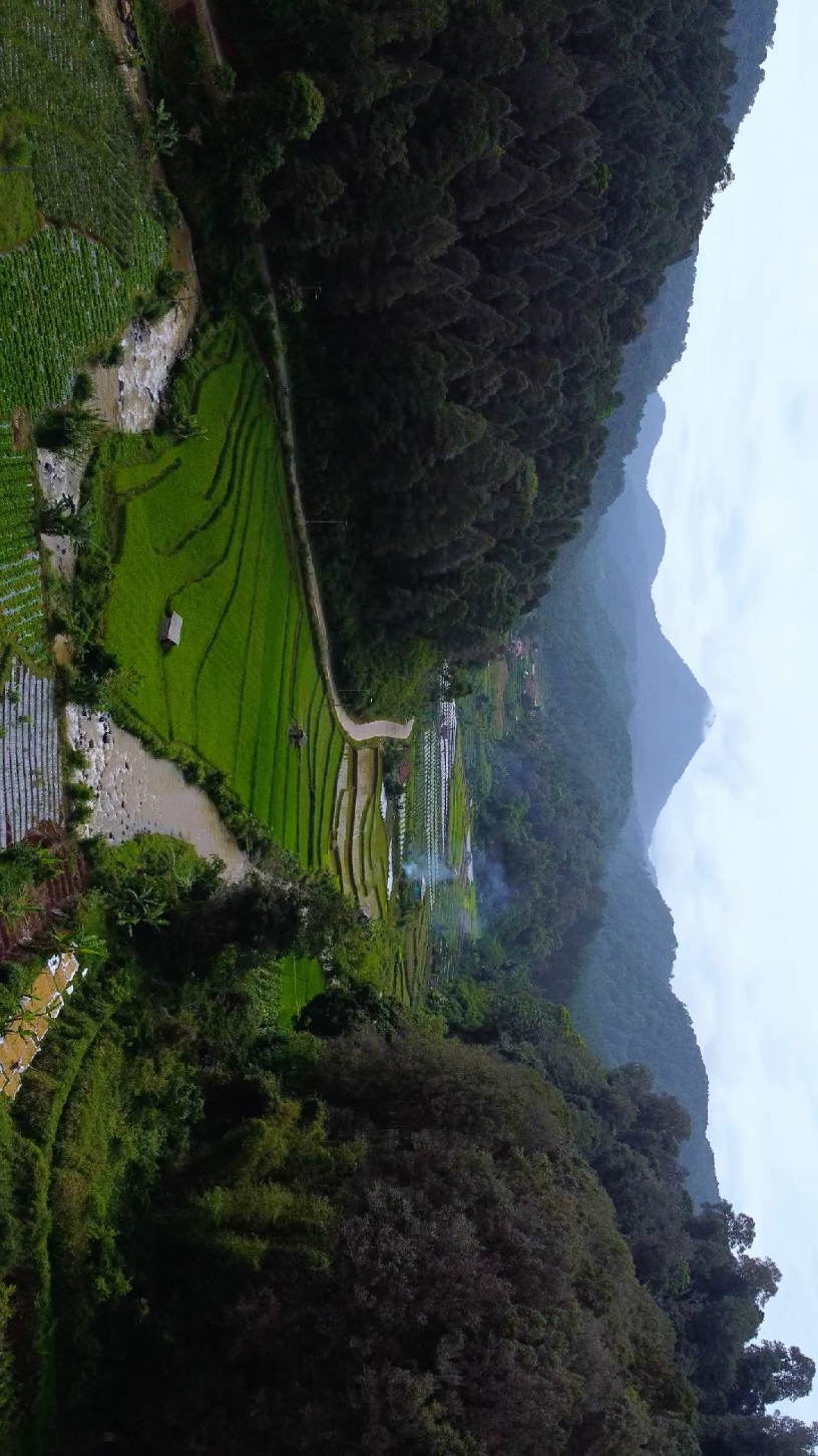 Tangsi Jaya, Desa Gununghalu, Kec. Gununghalu, Kab. Bandung Barat.  #bandungbarat #gununghalu 