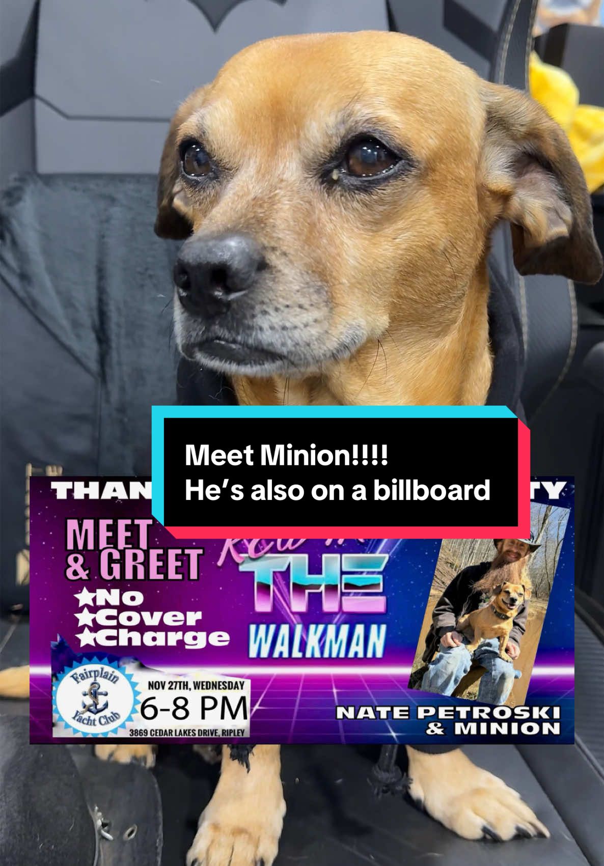 Meet Minion!!! #Theoneandonlyminion #farmdog #smalldog #meetandgreet #narrowayhomestead #homestead #offgridlife #rurallife 