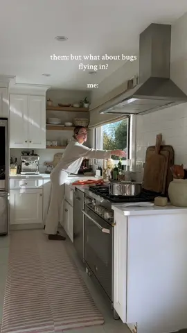 this collapsible kitchen window was the best part of our kitchen reno design, but I am always asked, what about the bugs!?! the screen is in place & is designed to come down from the top of the window 🤌🏼 #kitchendesign #kitchenwindow 