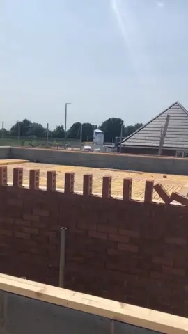 Satisfying ASMR Brick Laying Dominoes 🧱 #brick #bricklayer #dominoes #asmr #satisfying #oddlysatisfying #fyp 