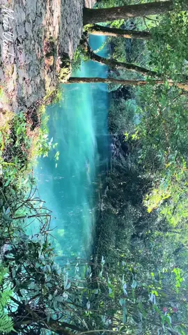 #xuhướngtiktok2024 Hãy tận hưởng vẻ đẹp Huyền ảo của khu du lịch Pác Bó. Suối Lê Nin - hang Cốc Bó - Núi Các Mác. #maivinh #xuyenviet #caobang #suoileninpacbo #pacbo 