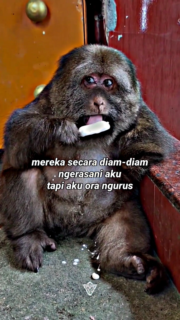 tak setel cuek 😂 #pensiunanwongsangar 