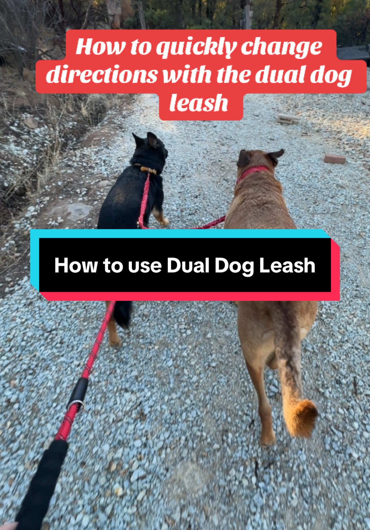 This is such a high quality leash im so happy we have #tiktokshopblackfriday #tiktokshopcybermonday #tiktokshopholidayhaul #dogmomlife #dogmomaf #dogleash #dogaccessories #dogwalk #leashtraining #dogwalking #dogmomsoftiktok #dogmoms #dogmomstruggles 