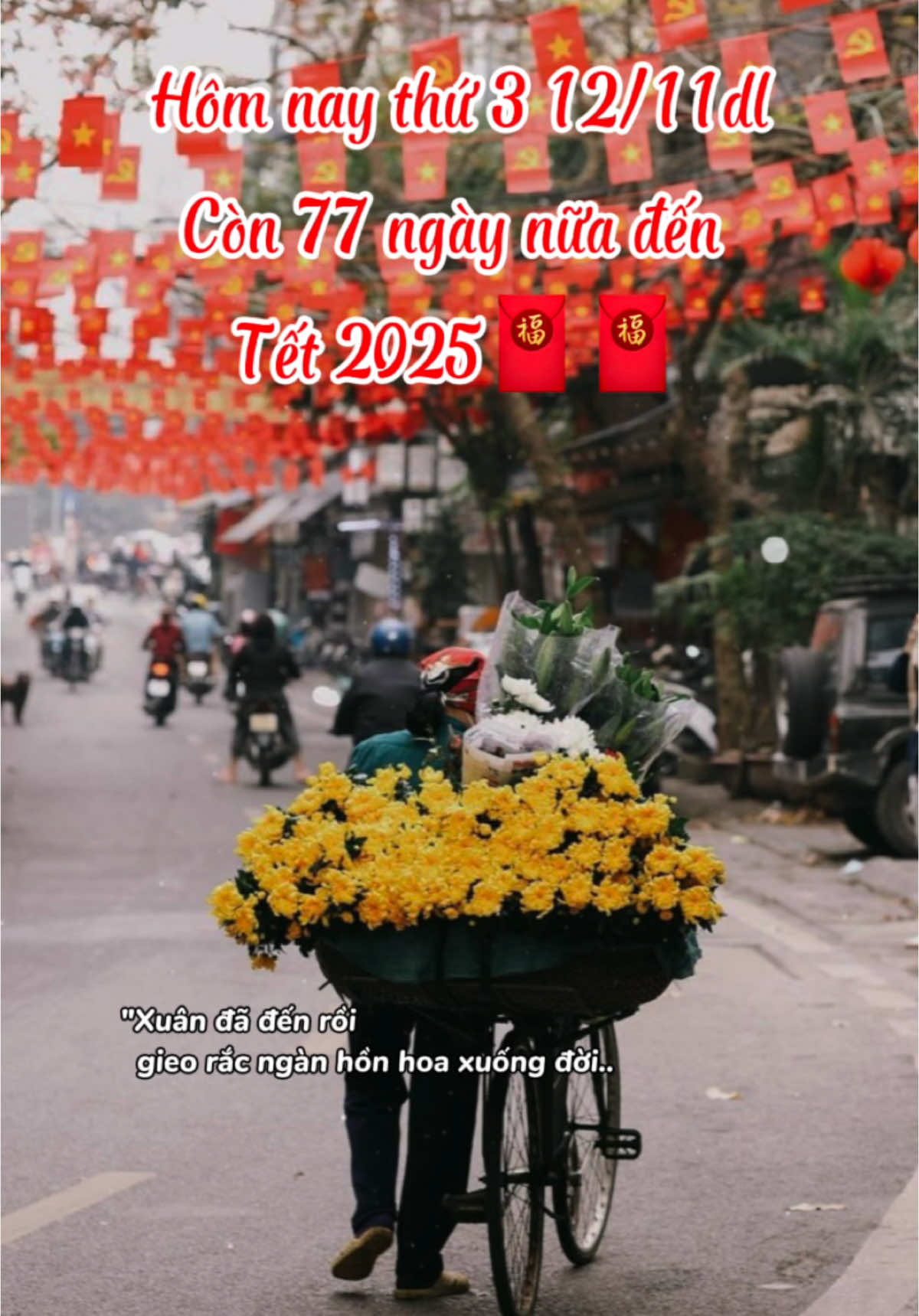 Còn 77 ngày thôi mn ơii #tet2025 